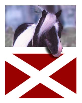 main_img